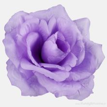 13cm or 5 Inch Lavender French Rose